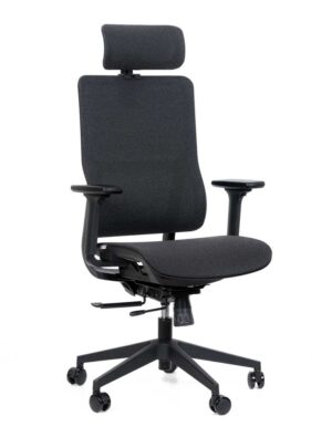 Kancelářská ergonomická židle Sego RUBIQ — více barev černá
